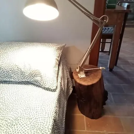 Casa Rosamatilda