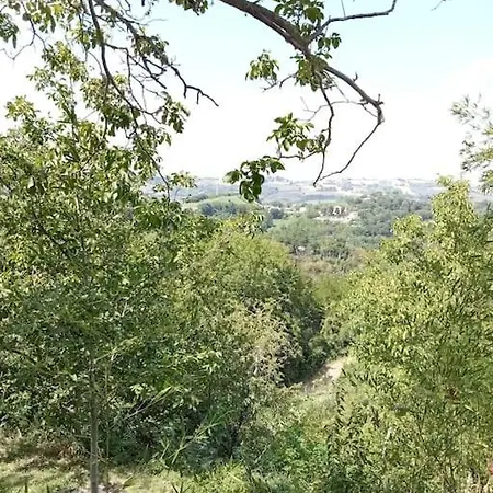 Casa Rosamatilda 度假居