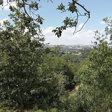 Casa Rosamatilda * Sant'Angelo in Pontano